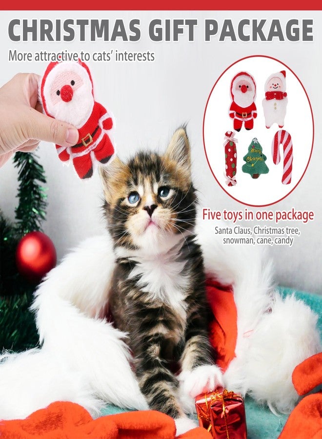 كولتيل مجموعة ألعاب كولتيل لعيد الميلاد للقطط، 5 قطع، لعبة سانتا كلوز ناعمة ومتينة على شكل شجرة عيد الميلاد محشوة بالنعناع البري الطبيعي، هدية تفاعلية مقاومة للعض لتنظيف أسنان القطط المنزلية والقطط الصغيرة - Image 4